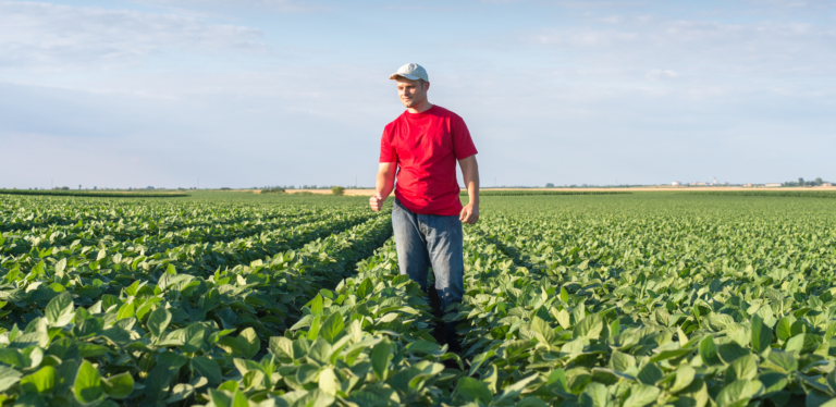 A man walking through a soybean field.